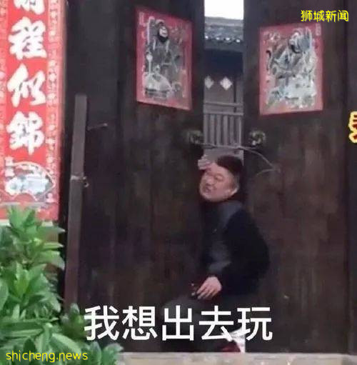 迷惑!就在这波防疫措施收紧前,鱼尾狮公园竟还有旅行团