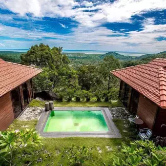 榴梿大豐收!新加坡貓山王下個月只要$12/KG!最好吃的榴梿在馬來西亞這個地方