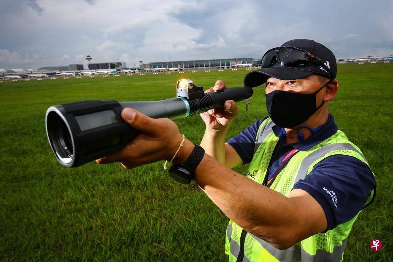 樟宜機場:甩鞭播幹擾聲 奇招驅鳥護“鐵鳥”