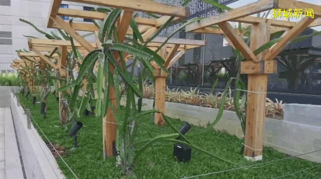 新加坡Funan“黑科技購物中心” 亮爆想像力眼球