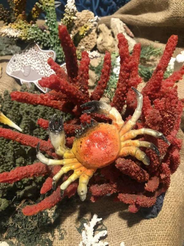 精彩国内游:新加坡南部岛屿休闲之旅