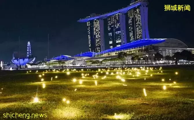 新加坡iLight灯光艺术节强势回归!光影交错,炫彩夺目