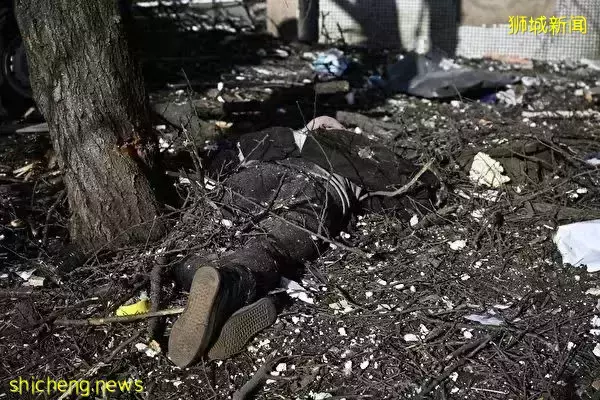 乌克兰人蜂拥逃走、多国撤侨，这个新加坡人却不想走