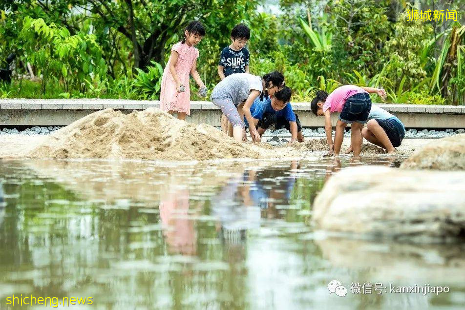 新加坡6个公园关闭水上娱乐设施至本月底