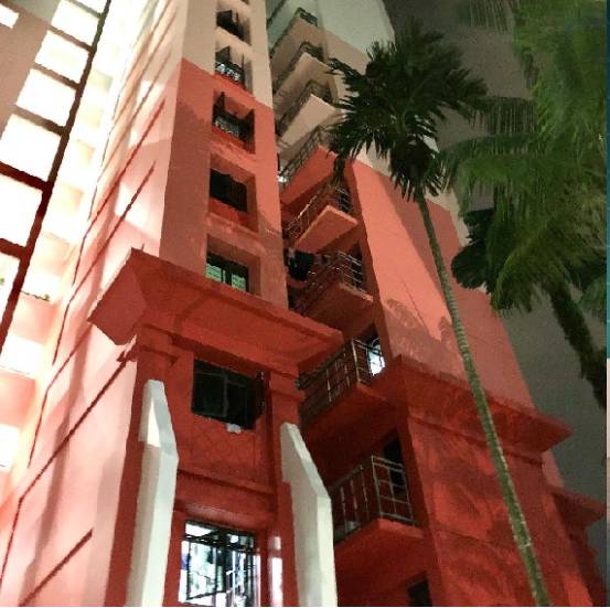 居民控诉:“我家组屋外墙被刷成大红色,看着太烧心了!”