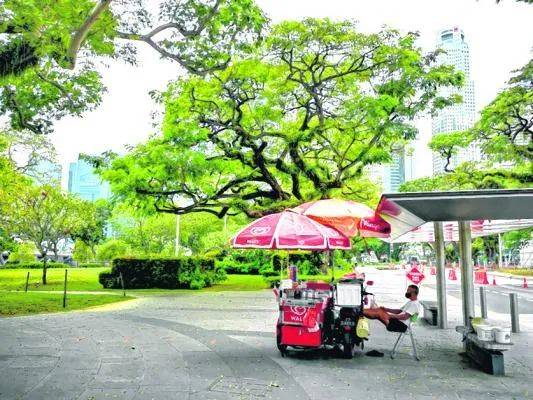 新加坡是花園城市，但你可知道承載最多集體回憶的“五棵樹下”在哪裏