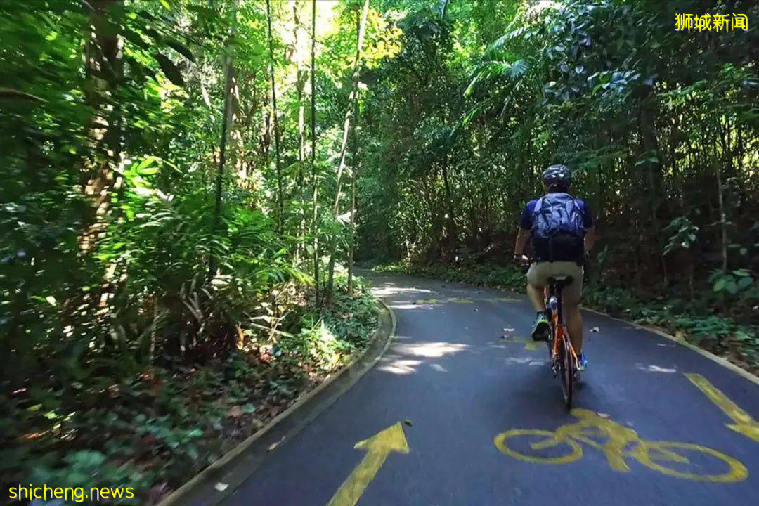 騎行必看！新加坡全島自行車租賃指南，低至$5/天