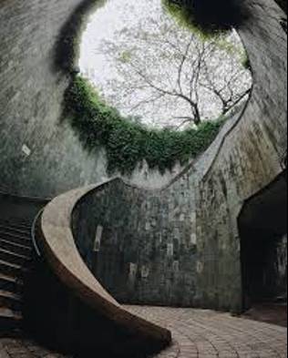 新加坡自然公園遊玩篇