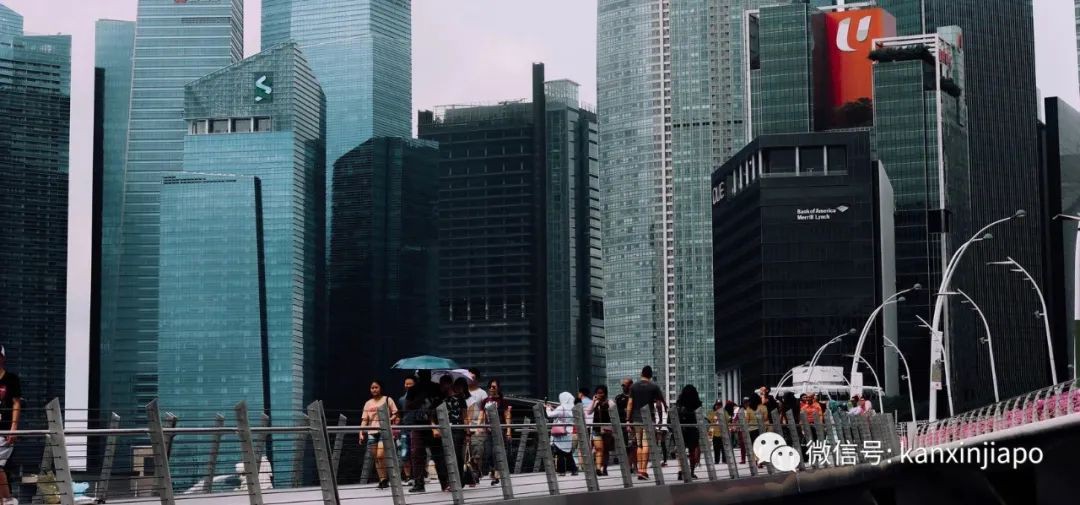 今增X，累计X | 专家：新加坡月底可能达三四万人确诊