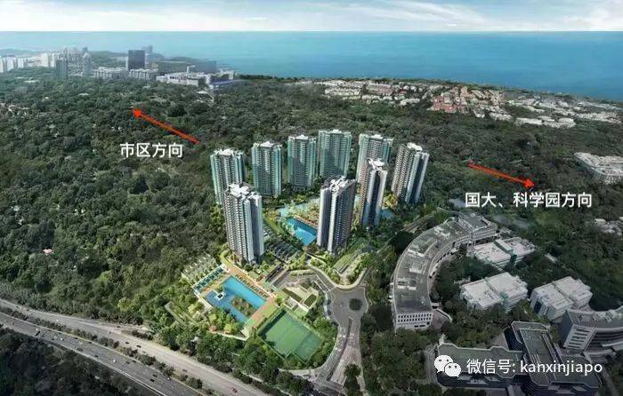 如果新加坡有硅谷,它最有可能在哪里