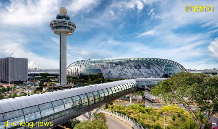 封国、暴动、欧洲疫情大反扑!新加坡卫生部公布数据,年轻人、儿童感染率激增