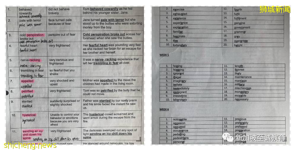 新加坡留學：看新加坡小學如何學習英文課