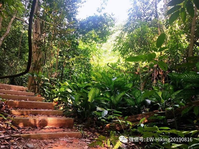 卡迪至山景(丛林探索之旅)