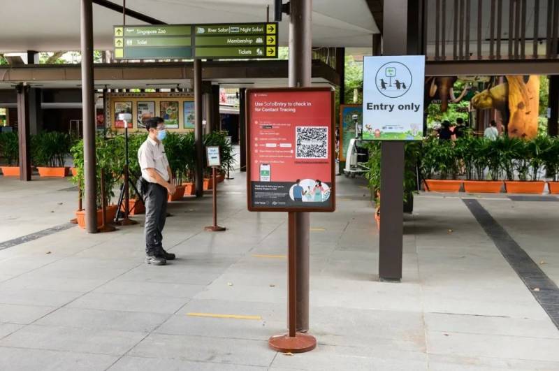 你有一份来自新加坡的安心指南,请查收