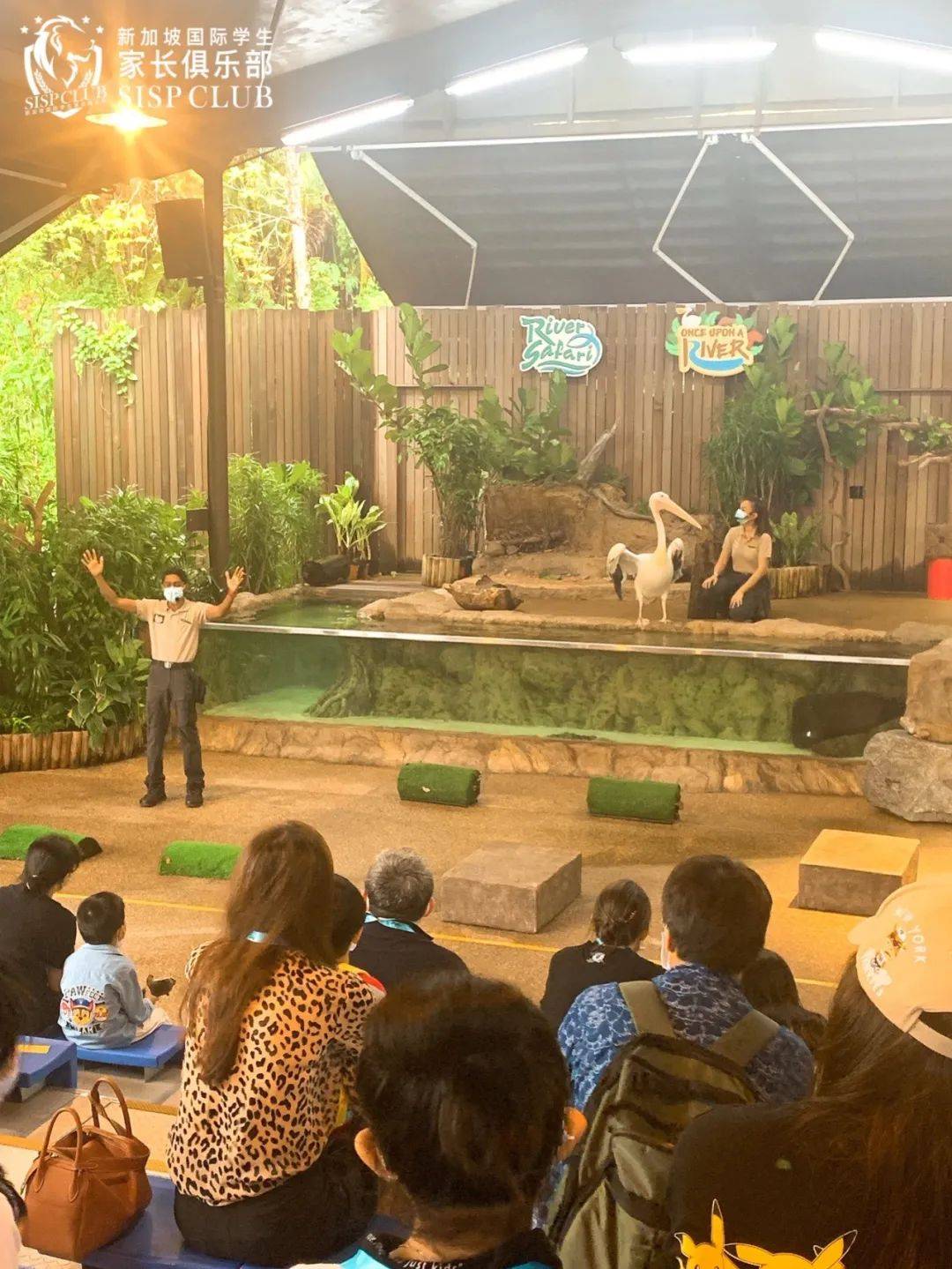 新加坡遛娃新去处!到河川生态园喂海牛,给孩子不一样的staycation