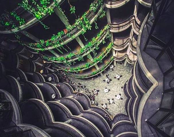 玩在獅城 坡島隱藏IG拍照打卡點推薦