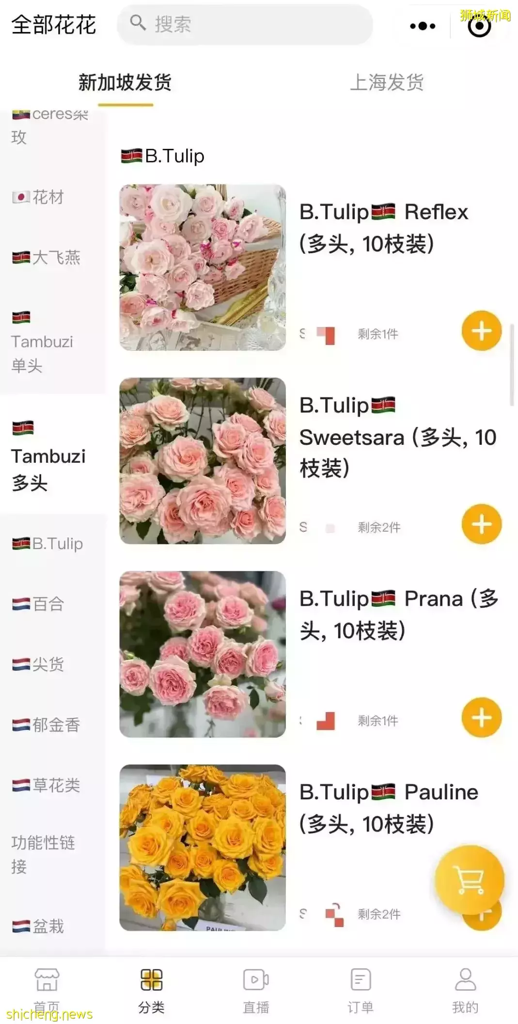 鮮花在熱帶也能養1個月？資深花友新加坡買花、養護大揭秘