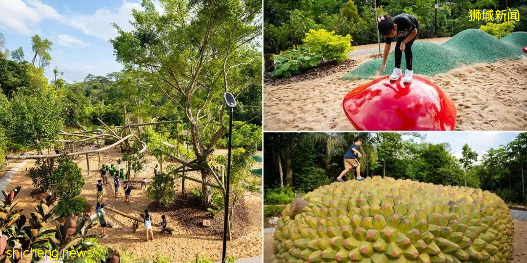 叢林遊樂場、自然博物館、山路徒步……新加坡這個公園翻新後更好玩啦