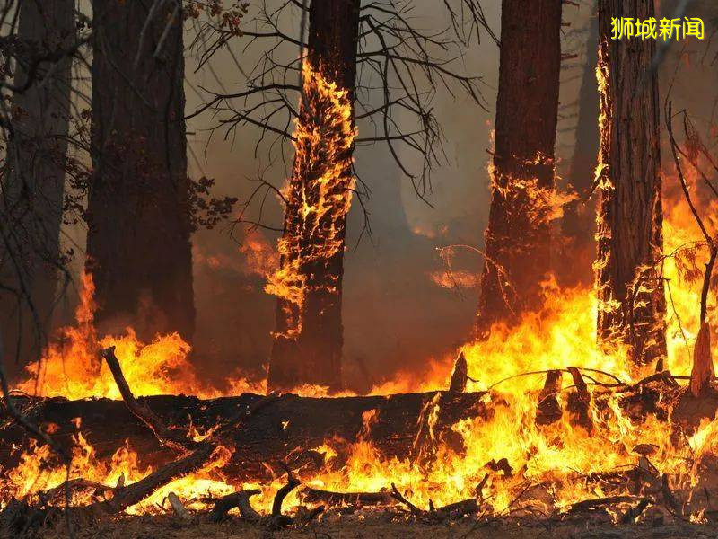 亞馬遜大火重燃,印尼火山爆發,新加坡骨痛熱嚴峻!2020繼續