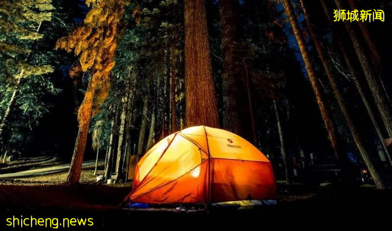 膽小慎入！新加坡老炮兒才知道的“都市夜傳說”