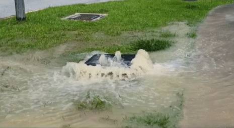 人間仙境!霧氣掩蓋163.63米的武吉知馬山,好夢幻