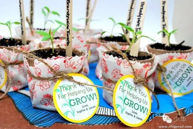 新加坡教师节快到了，今年这个礼怎么送