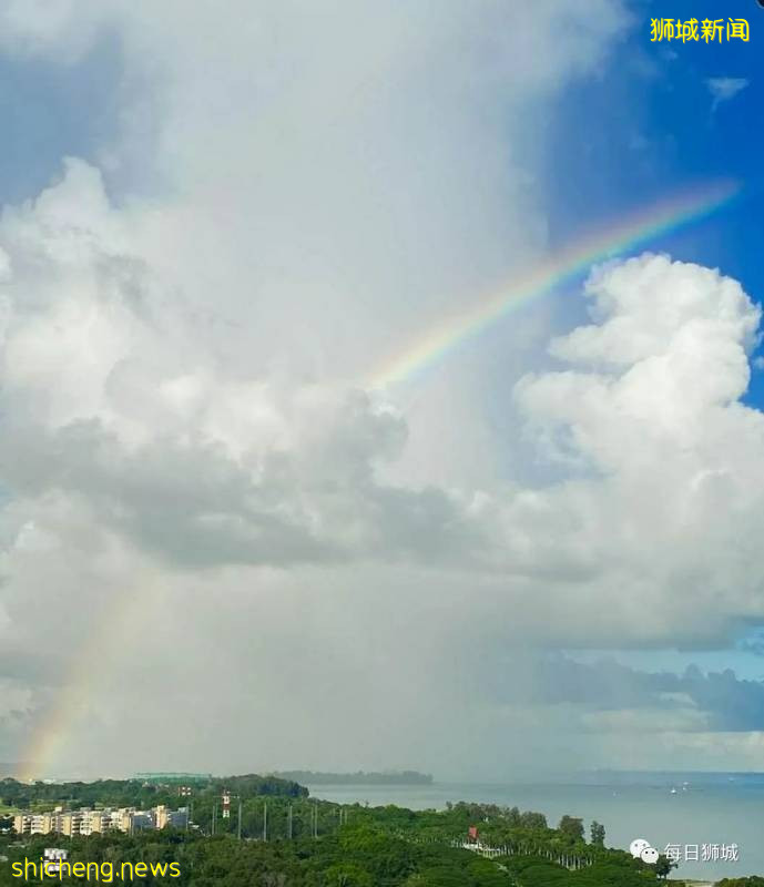 新加坡“解封”第一天，複工複學的人們如何？帶你一探究竟!