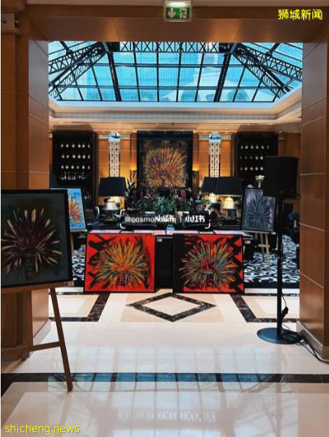 “最近!我從新加坡飛德國、法國免隔離度假,猜猜花了多少錢~”