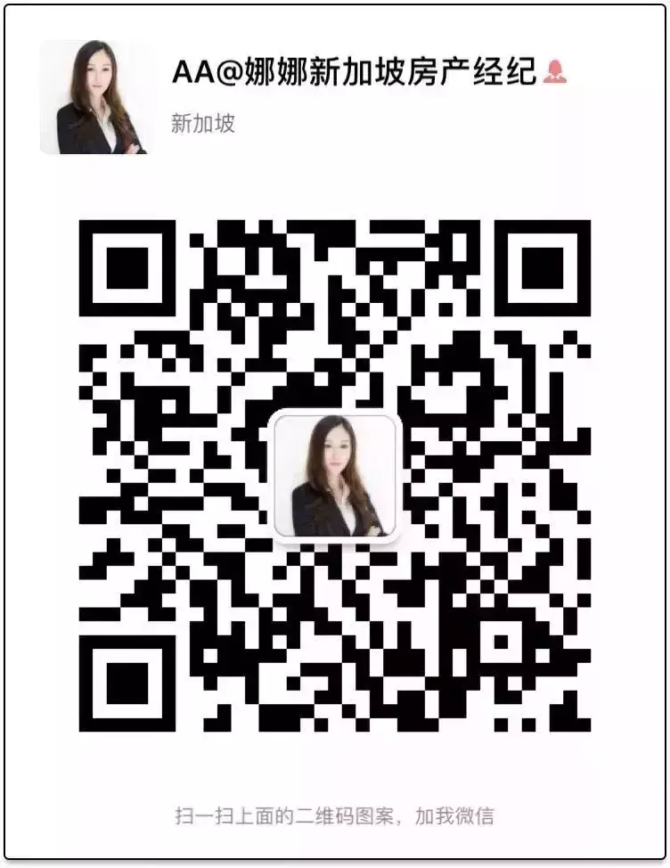 2022年，樓市降溫後，新加坡第一個投資風口居然是它