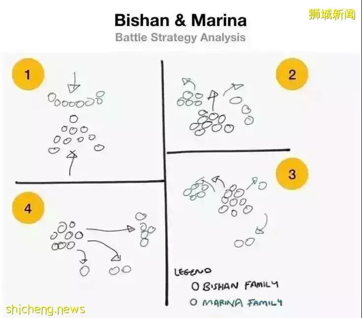 在新加坡，你見過熱戀中的水獺嗎