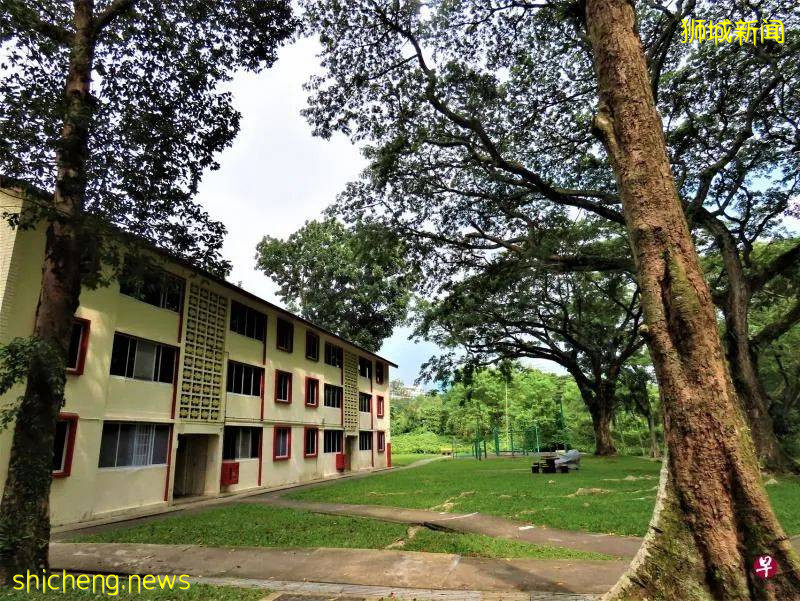 爱丽丝梦境、失乐园、无尾涧——新加坡老组屋区东陵福隐藏了哪些秘境?让老居民带你寻幽探秘