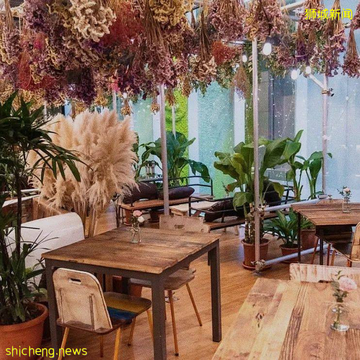 太撩!狮城这些INS风Café拔草攻略,每一帧都吸睛满满