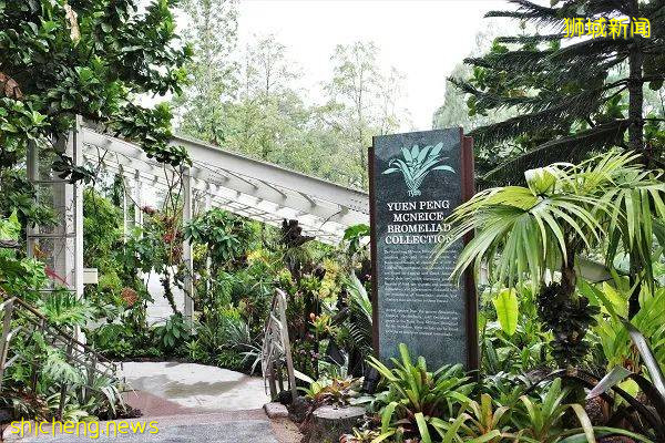 手機“一掃”入境新加坡，一起來看看有4500種花卉的全新熱帶花園吧