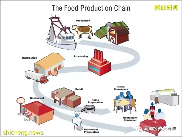 新加坡國菜海南雞飯“危在旦夕”,危機始末和解決方法是什麽