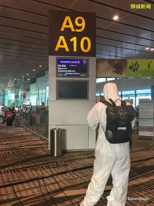 最新經驗分享,從新加坡飛上海我經曆了啥