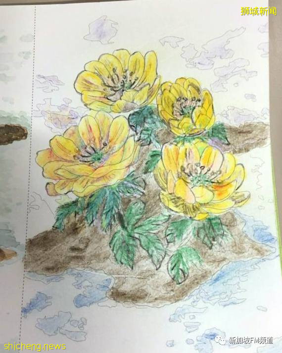 新加坡冠病患者:“像沉溺在水裏無法呼吸,這是我最恐怖的經曆。”!