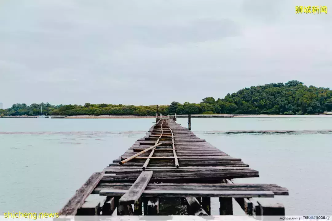 新加坡南部小島被瘟疫“襲擊”,變成了巨大密室