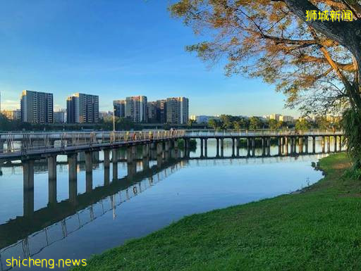 最適合帶孩子去的—新加坡裕廊湖畔花園