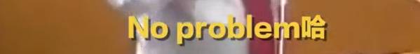 刷屏!日本议员狂飙普通话、广东话和福建话!新加坡总理部长们:这谁不会