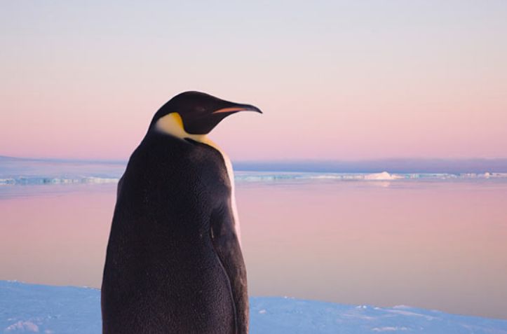 640?wx_fmt=png&tp=webp&wxfrom=5&wx_lazy=1&wx_co=1