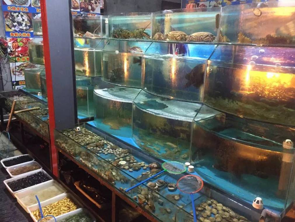 新加坡這家海鮮音樂餐廳要火！人均不到$40，還有現金紅包免費領