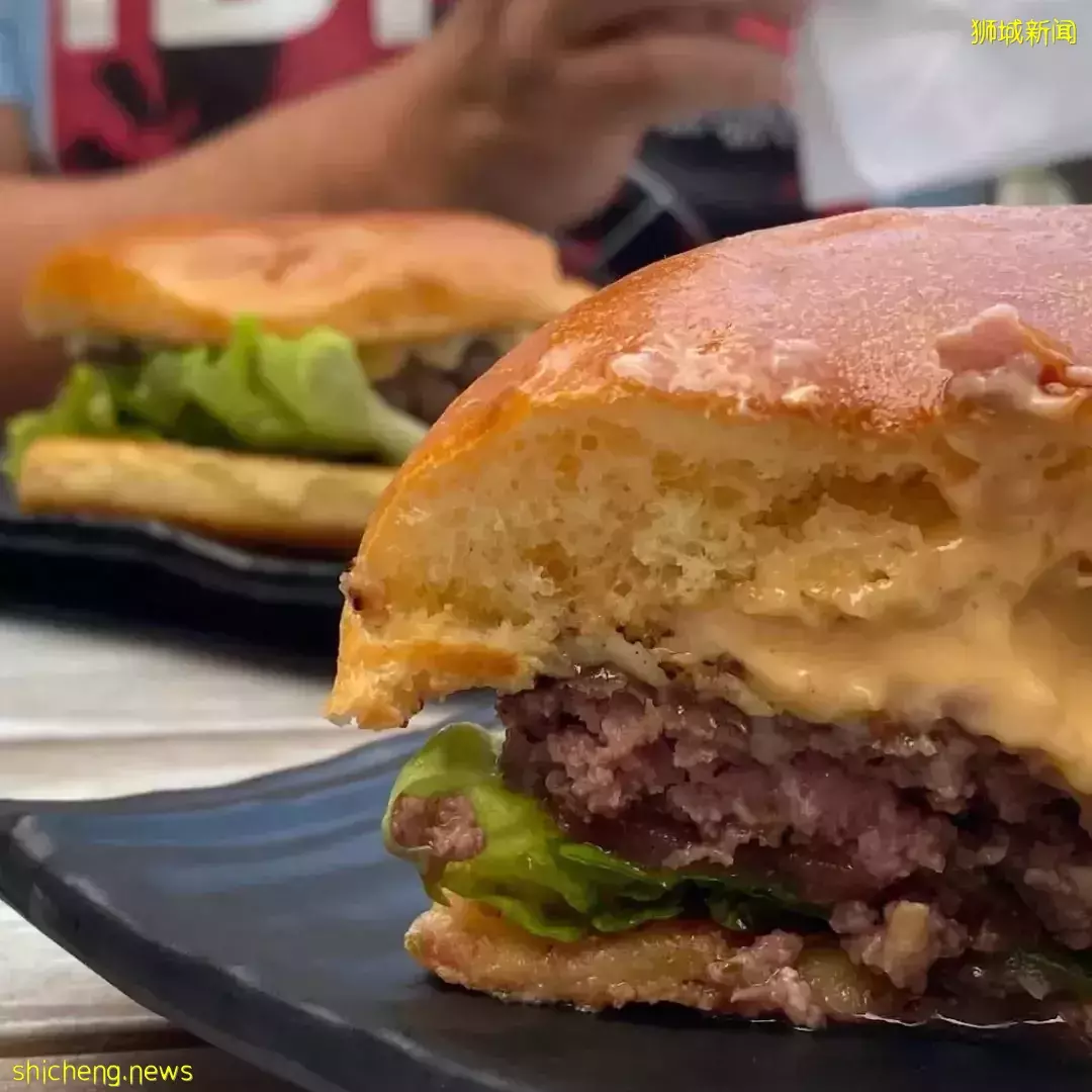 超新奇体验!新加坡有家越南餐馆可以和小马驹做朋友哦