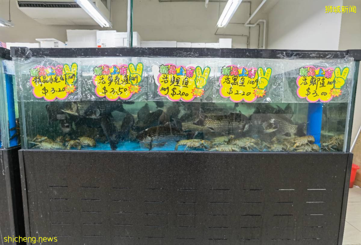 2021新加坡米其林榜出爐!種草高級海鮮食材:帝王蟹、加拿大青口、蘇格蘭竹蚌