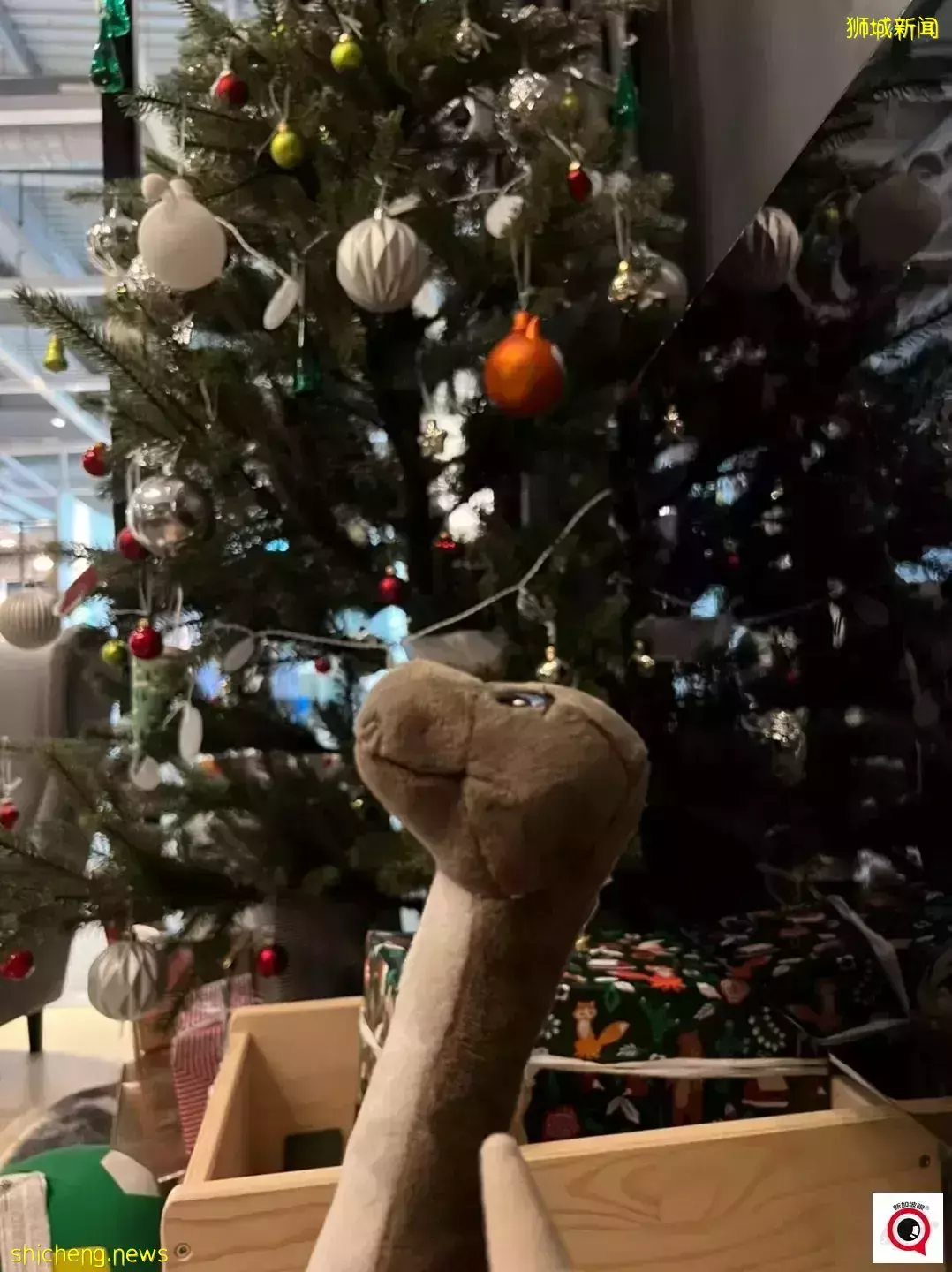 乌节路圣诞装饰实拍!全新加坡2021年最美圣诞树即将揭晓