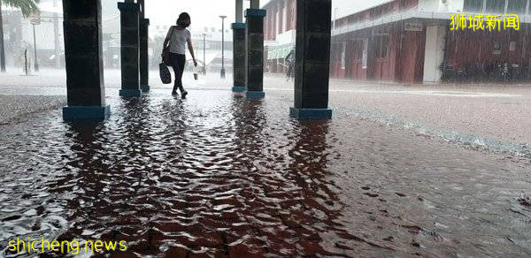 大雨來襲 獅城多區又淹水