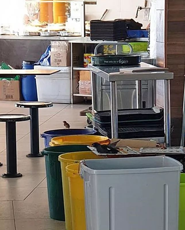 被指用捕鼠强力胶捉鸟，碧山咖啡店否认