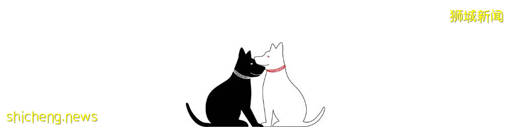 有了這份指南, 搬家根本不用慌