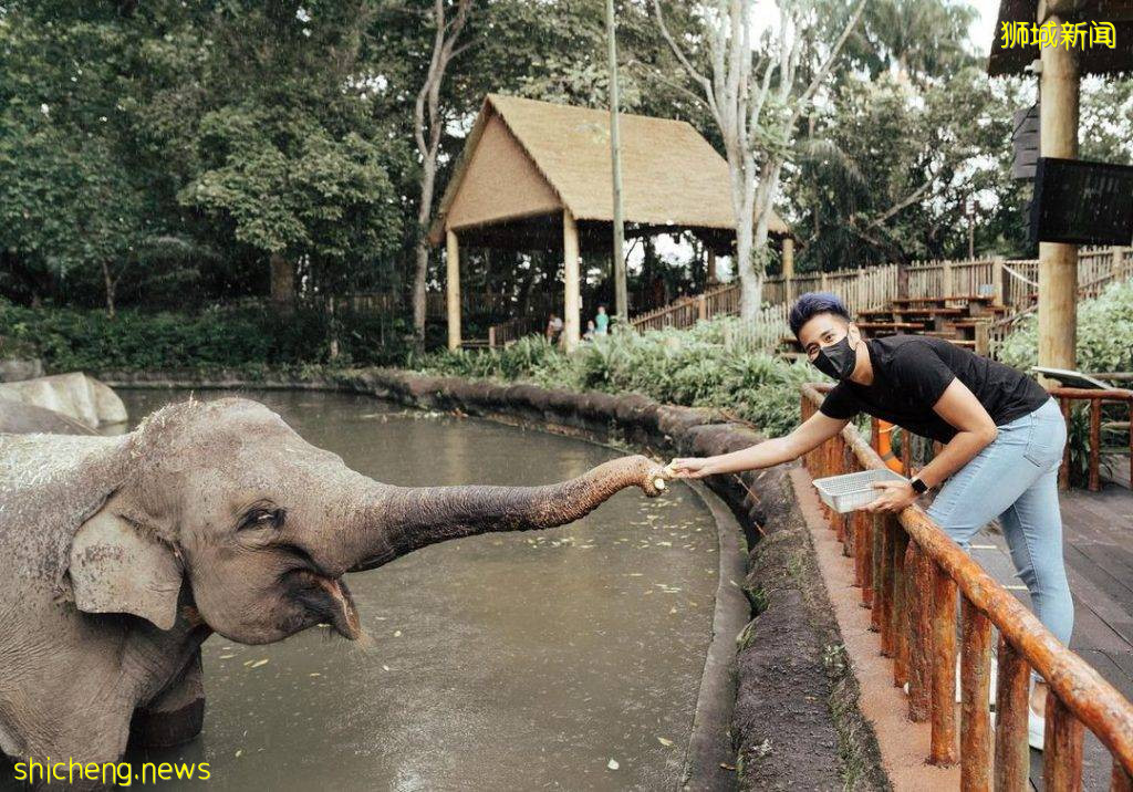 攻略收好、出發開啓親近動物之旅🦩從白天玩到晚上、10大景點近距離接觸小動物