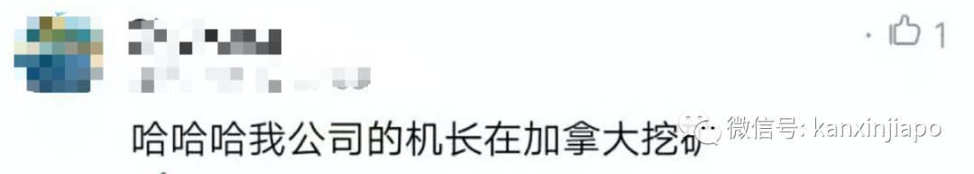 買鋼琴奇遇，上門搬運的司機竟然是新航機長