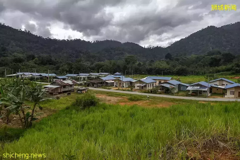 新加坡蔬菜價格暴漲！大馬首例奧密克戎患者，來過坡